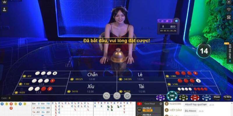 Những mẹo chơi QQ live xóc đĩa chi tiết cho các hội viên