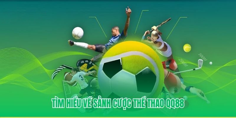 Giới thiệu sảnh Panda Sports QQ88