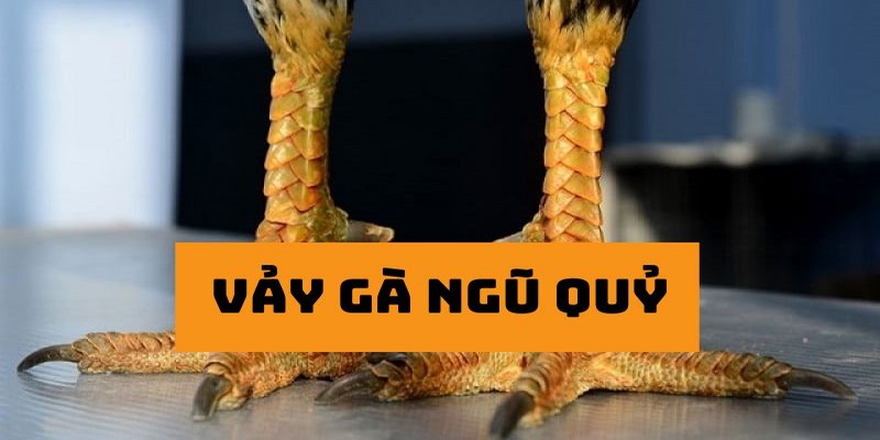 vảy gà ngũ quỷ