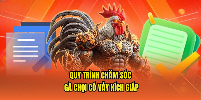 Quy trình chăm sóc chuẩn từ cao thủ dành cho gà có vảy kích giáp